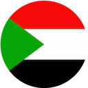 ОАЭ flag