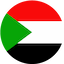 ОАЭ flag